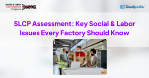 RSJ-Inspection-SLCP-Assessment