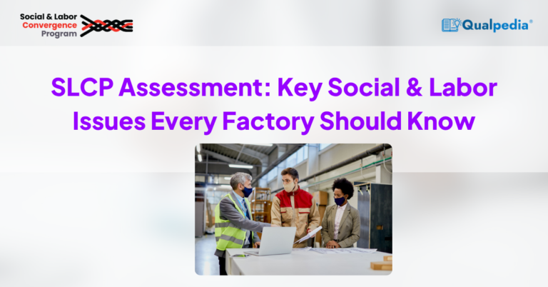 RSJ-Inspection-SLCP-Assessment